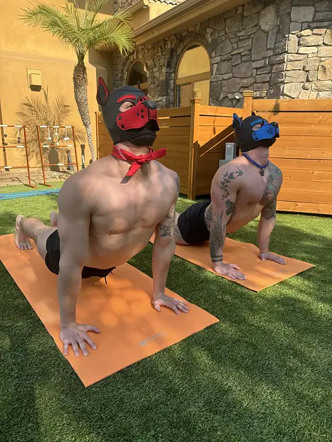 Big-Boned Muscle Pups